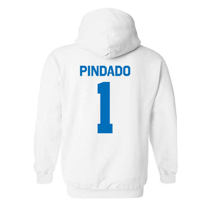 Buffalo - NCAA Women's Soccer : Daniela Pindado - Classic Shersey Hooded Sweatshirt-1