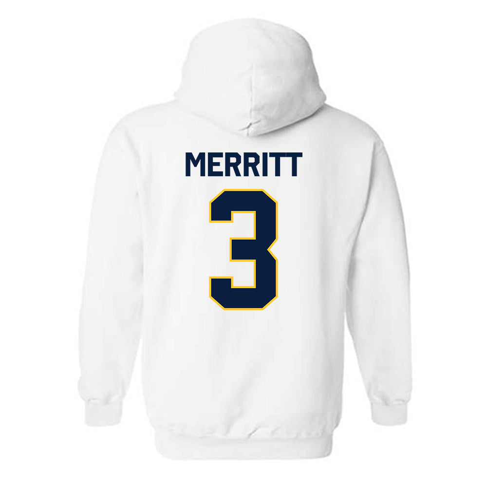 East Tennessee State - NCAA Softball : addison merritt - Classic Shersey Hooded Sweatshirt-1
