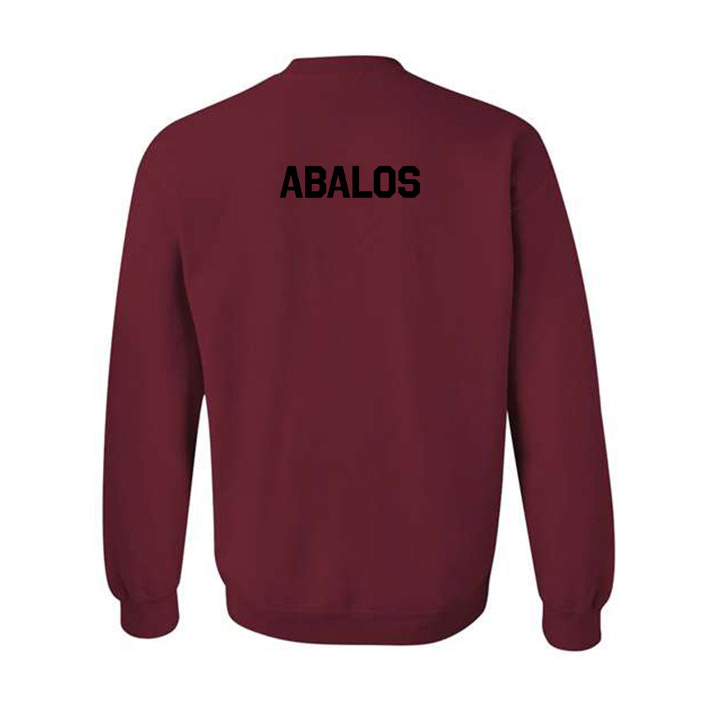 NMSU - NCAA Women's Track & Field : Jaeleigha Abalos - Classic Shersey Crewneck Sweatshirt-1
