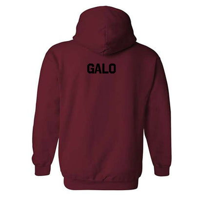 NMSU - NCAA Women's Swimming & Diving : Estel Galo - Classic Shersey Hooded Sweatshirt-1