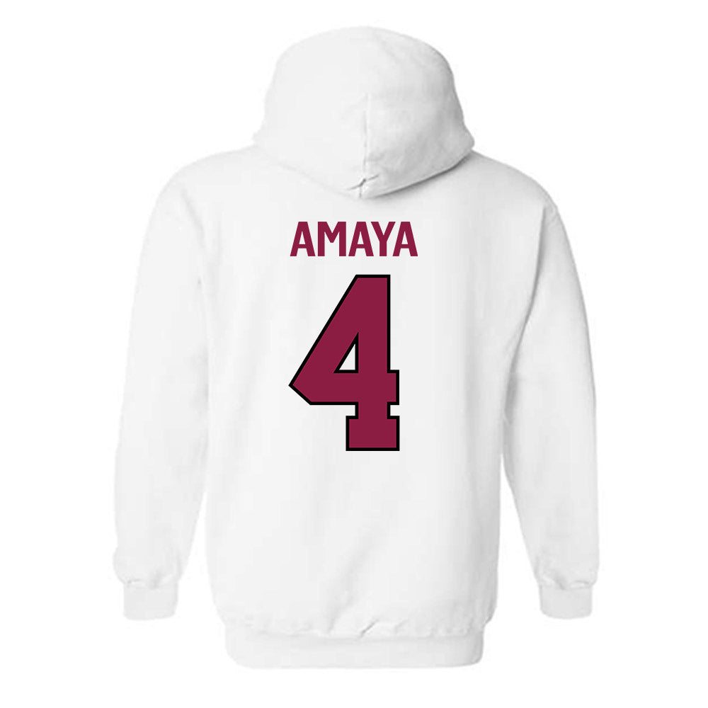 NMSU - NCAA Softball : Karyme Amaya - Classic Shersey Hooded Sweatshirt-1