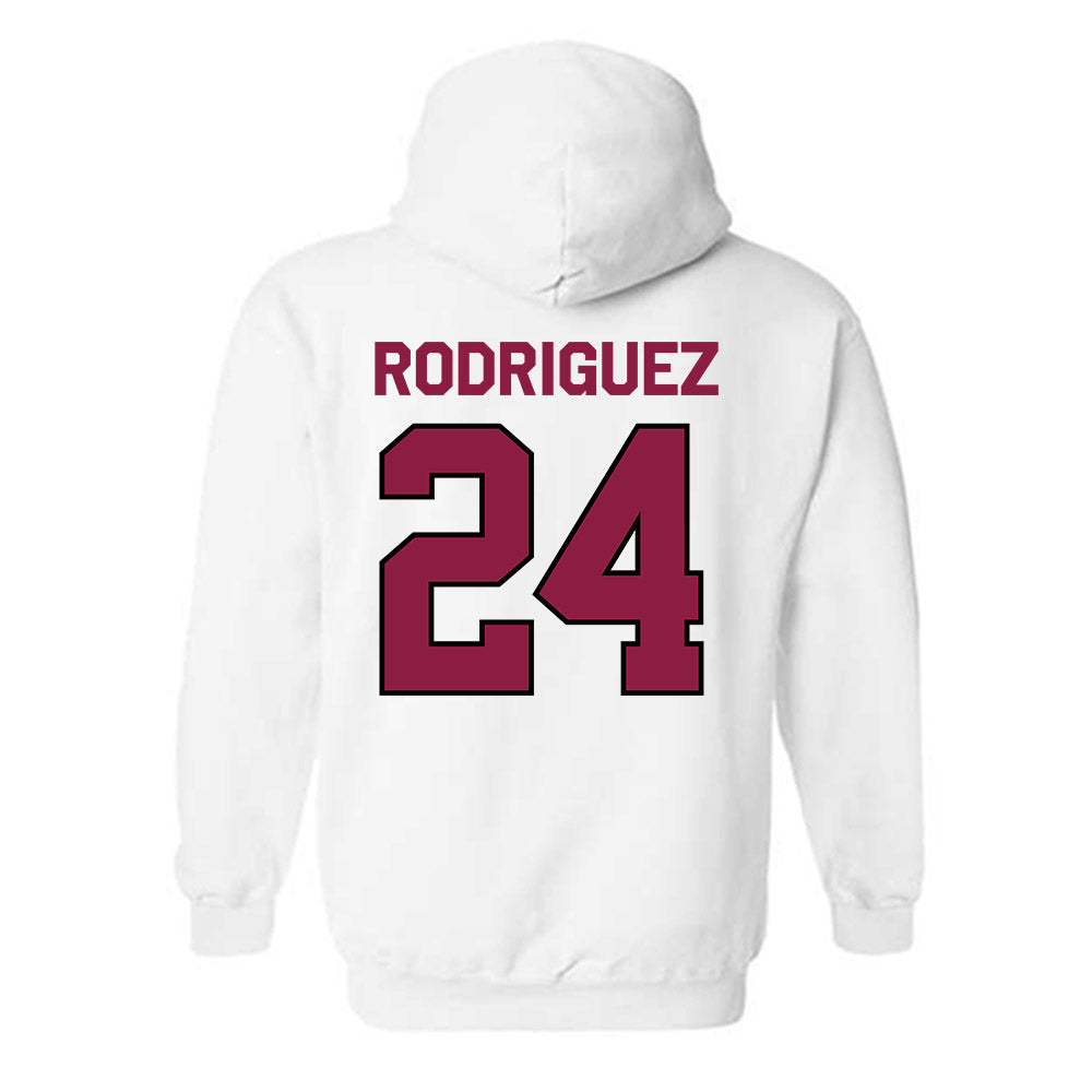 NMSU - NCAA Softball : Zantelle Rodriguez - Classic Shersey Hooded Sweatshirt-1
