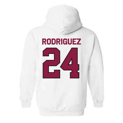 NMSU - NCAA Softball : Zantelle Rodriguez - Classic Shersey Hooded Sweatshirt-1