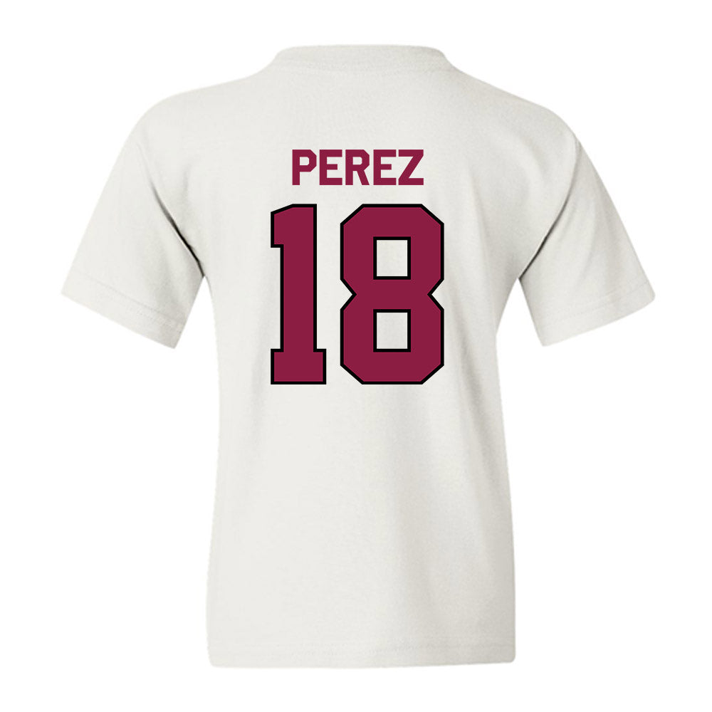 NMSU - NCAA Softball : Destiny Perez - Classic Shersey Youth T-Shirt-1