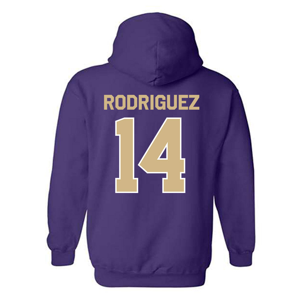 Washington - NCAA Softball : Amira Rodriguez - Classic Shersey Hooded Sweatshirt-1