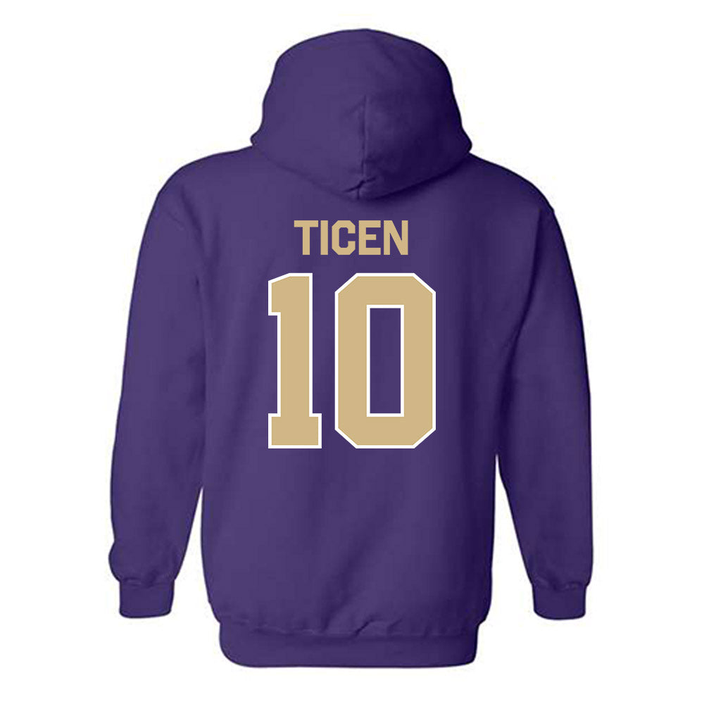 Washington - NCAA Softball : Annika Ticen - Classic Shersey Hooded Sweatshirt-1