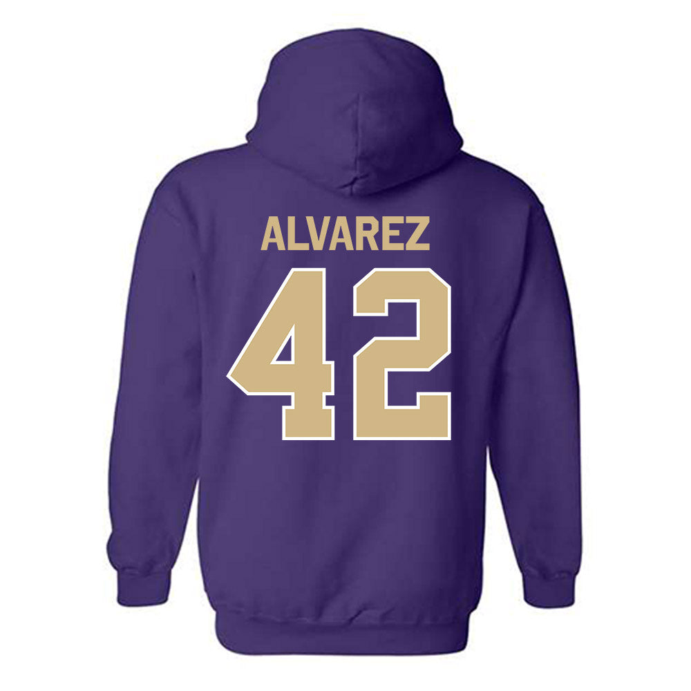 Washington - NCAA Softball : Giselle Alvarez - Classic Shersey Hooded Sweatshirt-1