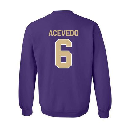 Washington - NCAA Softball : Melody Acevedo - Classic Shersey Crewneck Sweatshirt-1
