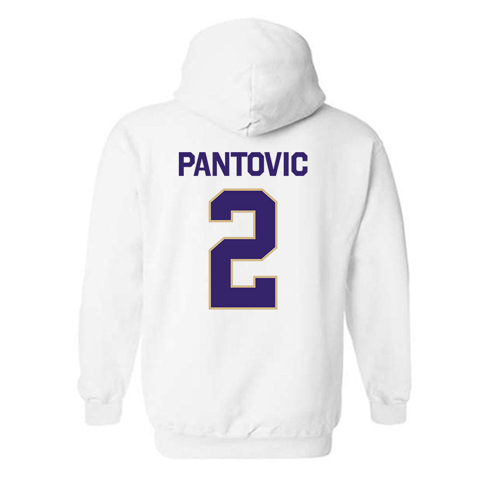 Washington - NCAA Beach Volleyball : Katarina Pantovic - Classic Shersey Hooded Sweatshirt-1