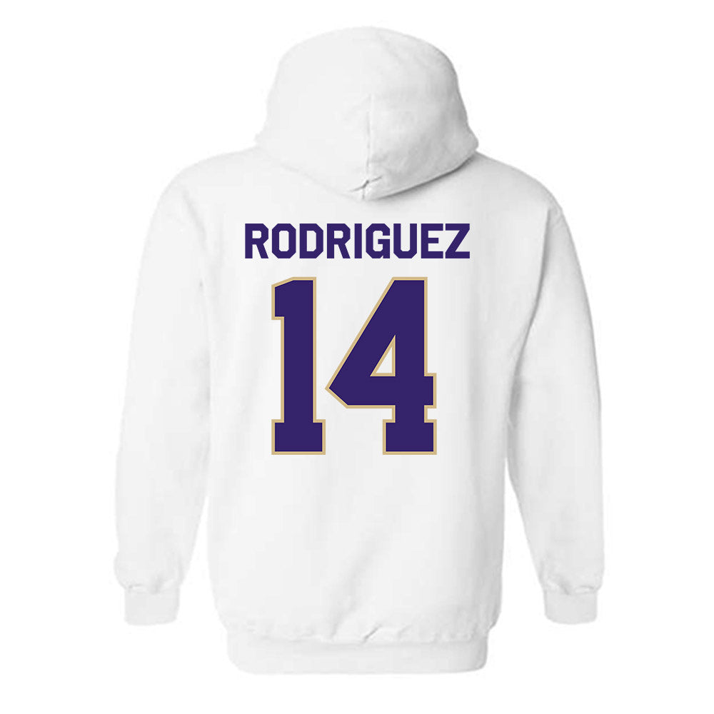 Washington - NCAA Softball : Amira Rodriguez - Classic Shersey Hooded Sweatshirt-1