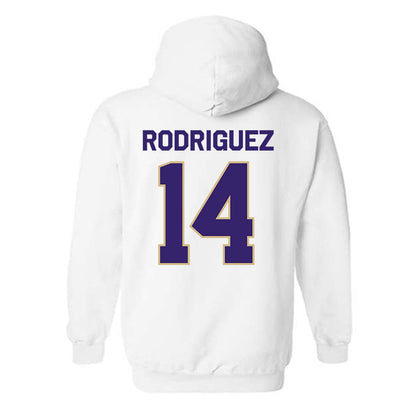 Washington - NCAA Softball : Amira Rodriguez - Classic Shersey Hooded Sweatshirt-1