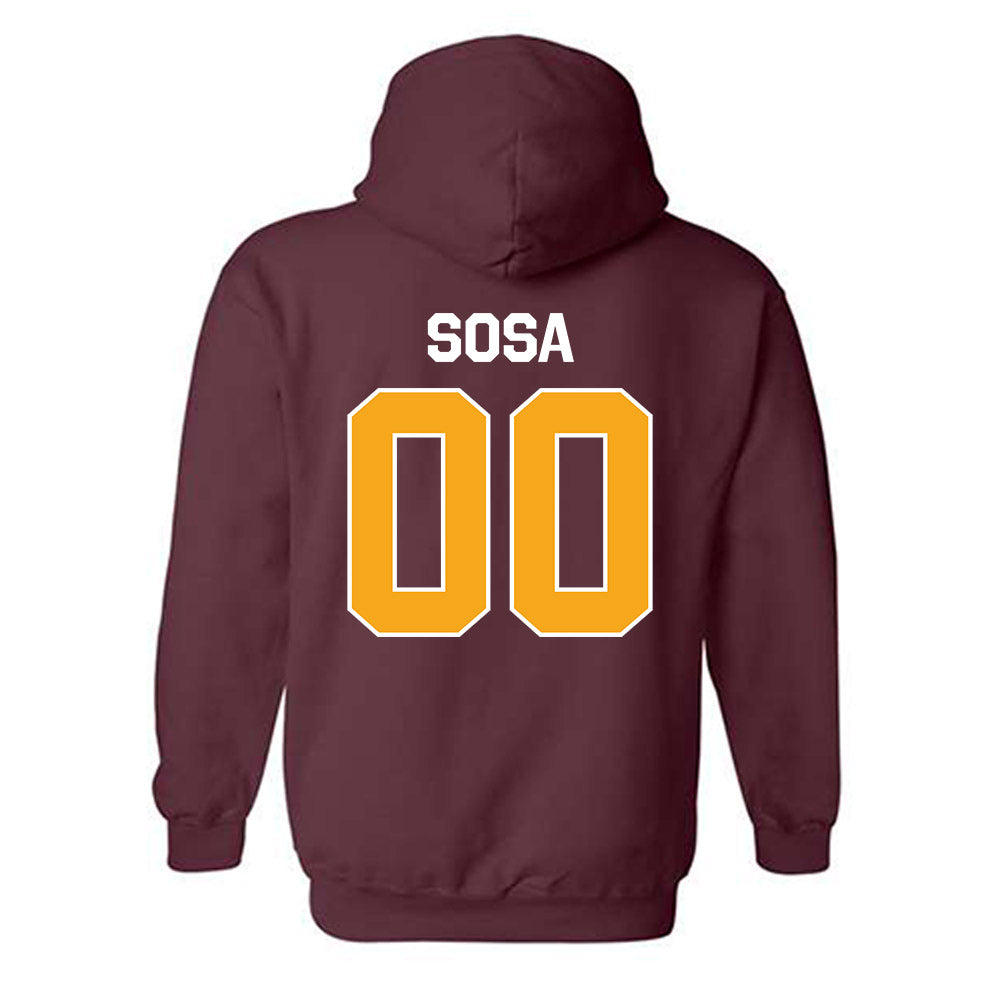 Loyola - NCAA Men's Volleyball : Aleksandar Sosa - Classic Shersey Hooded Sweatshirt-1