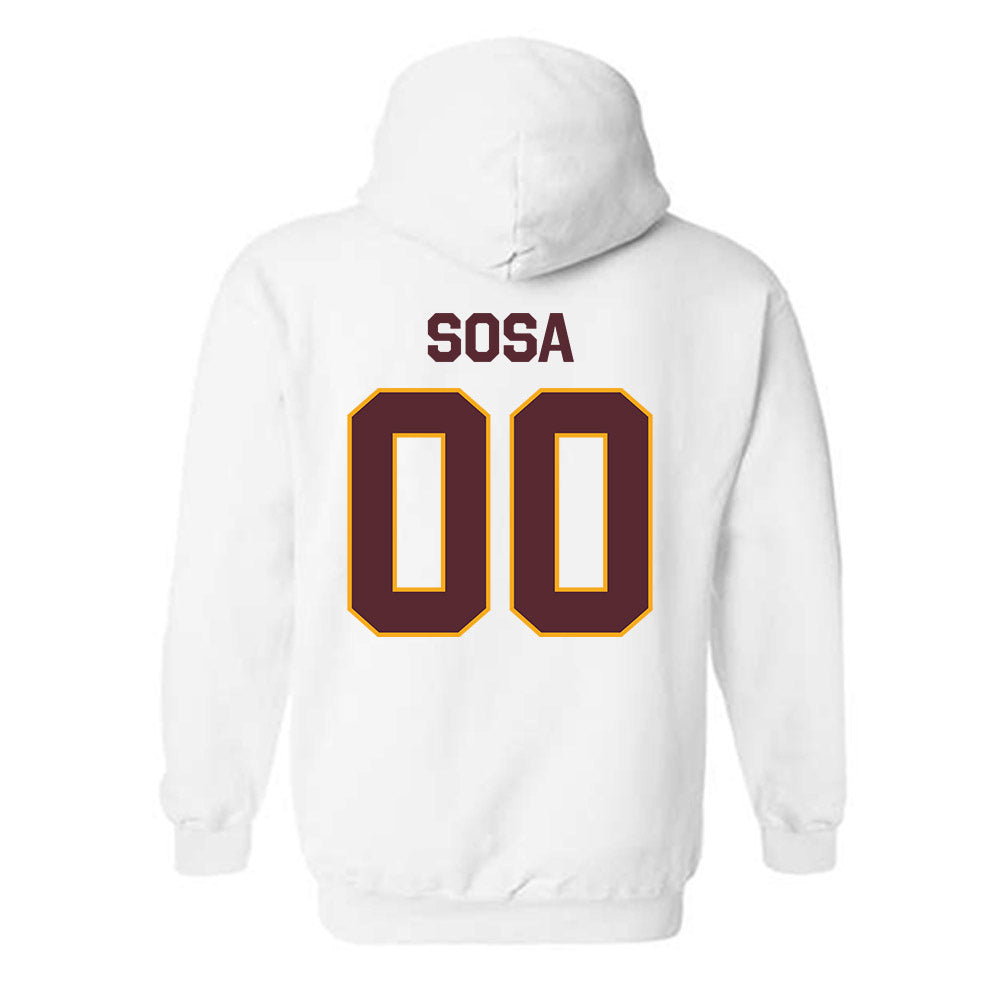 Loyola - NCAA Men's Volleyball : Aleksandar Sosa - Classic Shersey Hooded Sweatshirt-1