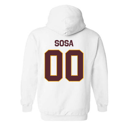 Loyola - NCAA Men's Volleyball : Aleksandar Sosa - Classic Shersey Hooded Sweatshirt-1
