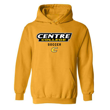 Centre College - NCAA Women's Soccer : Brooke Beasley - Classic Shersey Hooded Sweatshirt-0