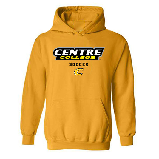 Centre College - NCAA Women's Soccer : Erin Siler - Classic Shersey Hooded Sweatshirt-0