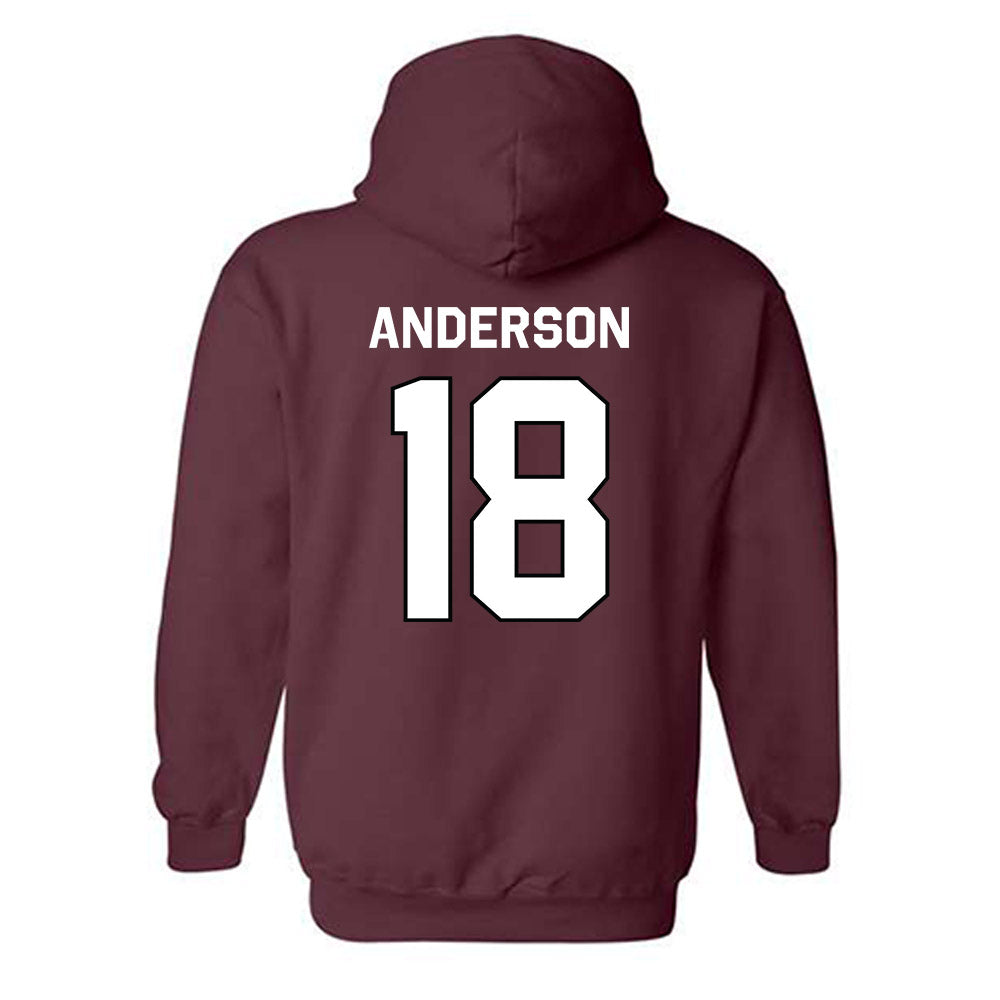 Bellarmine - NCAA Baseball : Bryce Anderson - Classic Shersey Hooded Sweatshirt-1