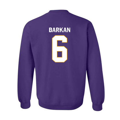 Albany - NCAA Men's Soccer : David Barkan - Classic Shersey Crewneck Sweatshirt-1