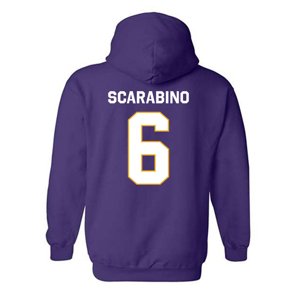 Albany - NCAA Baseball : Anthony Scarabino - Classic Shersey Hooded Sweatshirt-1