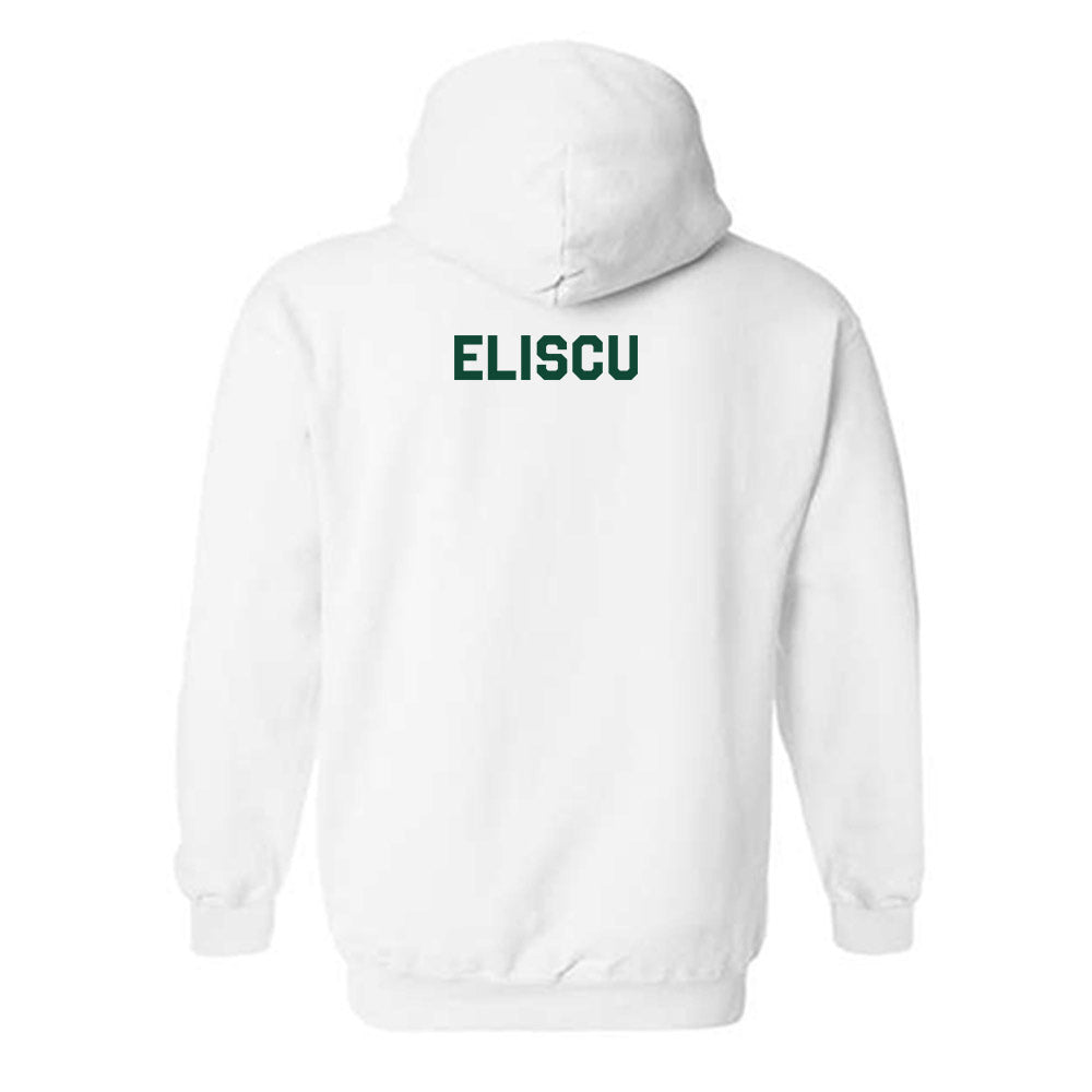 Cal Poly - NCAA Men's Tennis : Aaron Eliscu - Classic Shersey Hooded Sweatshirt-1