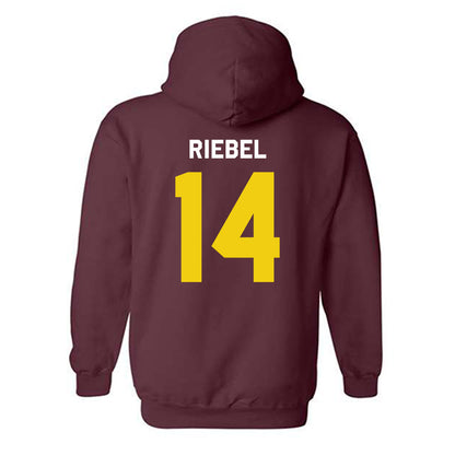Calvin - NCAA Men's Basketball : Luke Riebel - Classic Shersey Hooded Sweatshirt-1