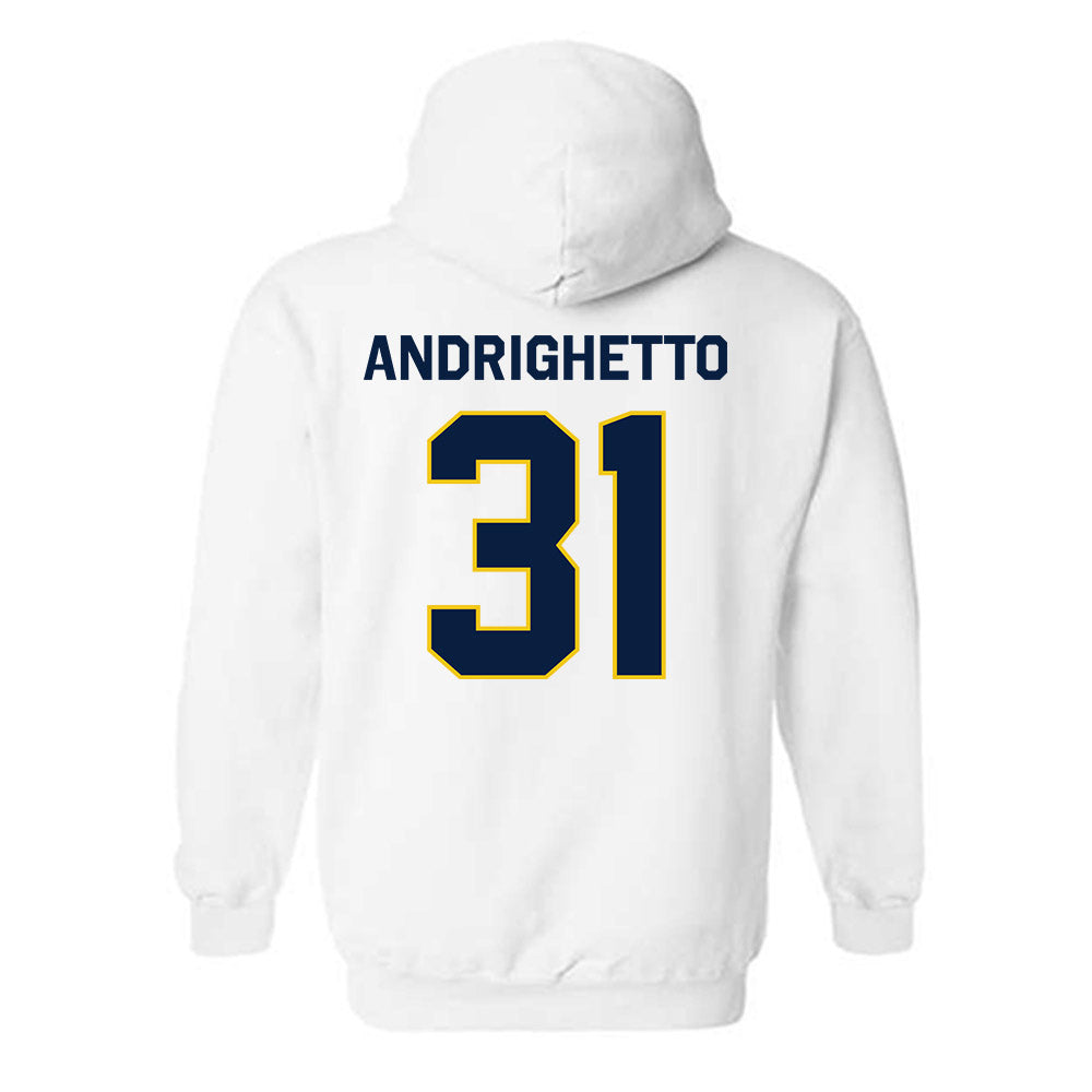 Michigan - NCAA Football : Nico Andrighetto - Classic Shersey Hooded Sweatshirt-1