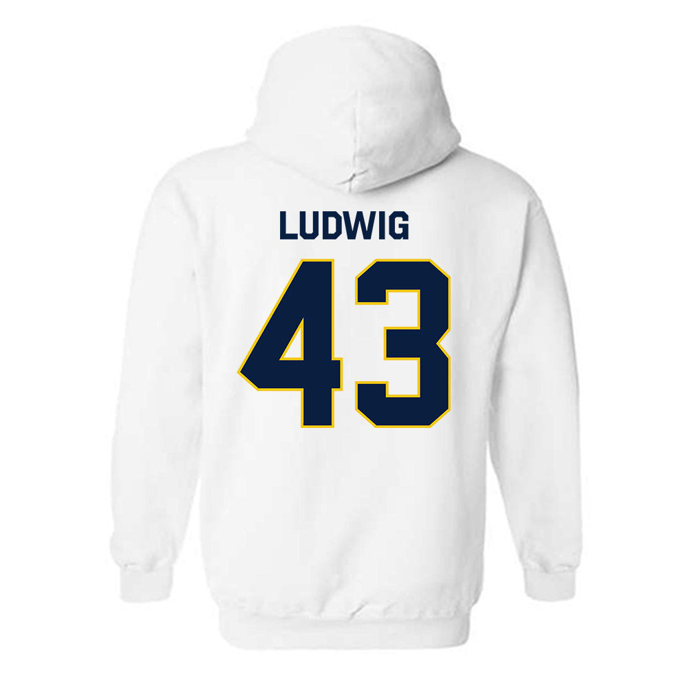 Michigan - NCAA Football : Zach Ludwig - Classic Shersey Hooded Sweatshirt-1