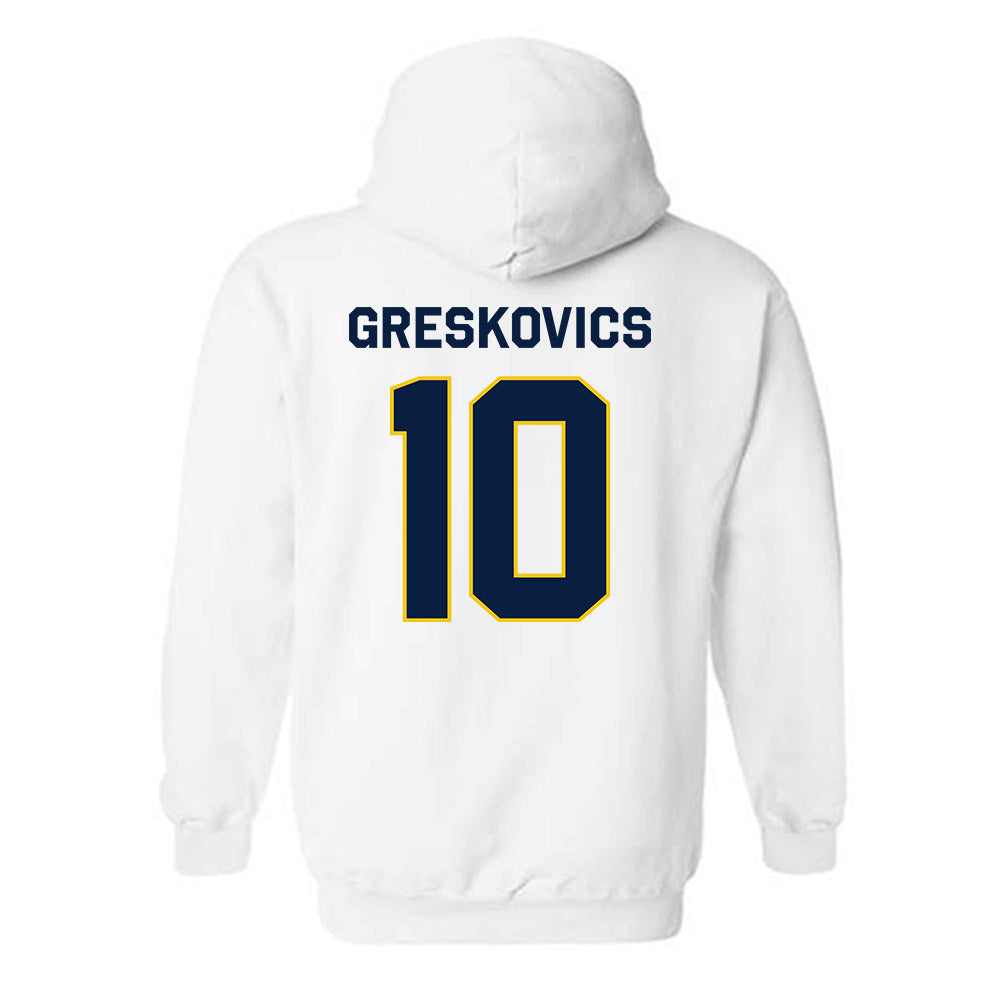 Michigan - NCAA Women's Volleyball : Carly Greskovics - Classic Shersey Hooded Sweatshirt-1