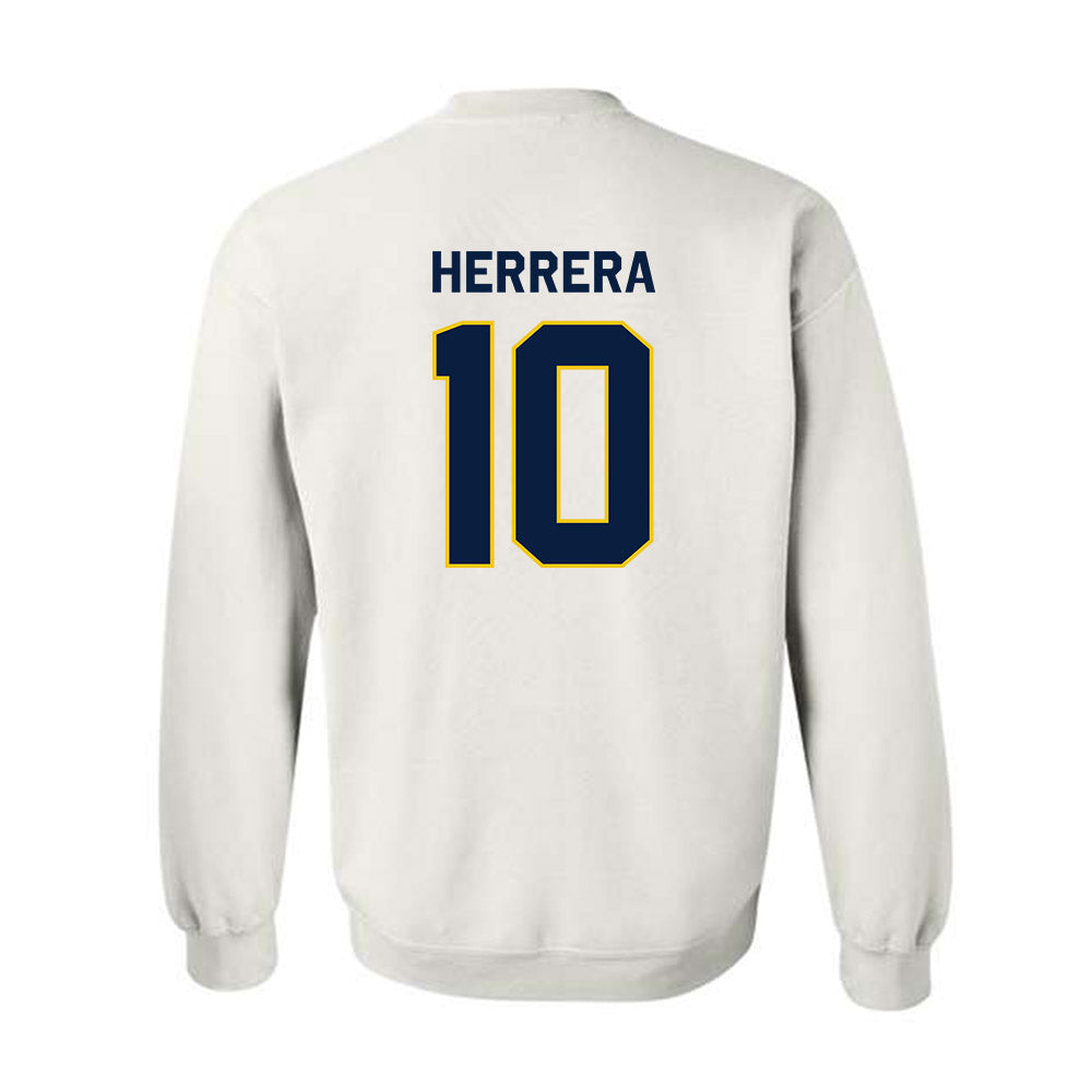 Michigan - NCAA Men's Soccer : Duilio Herrera - Classic Shersey Crewneck Sweatshirt-1