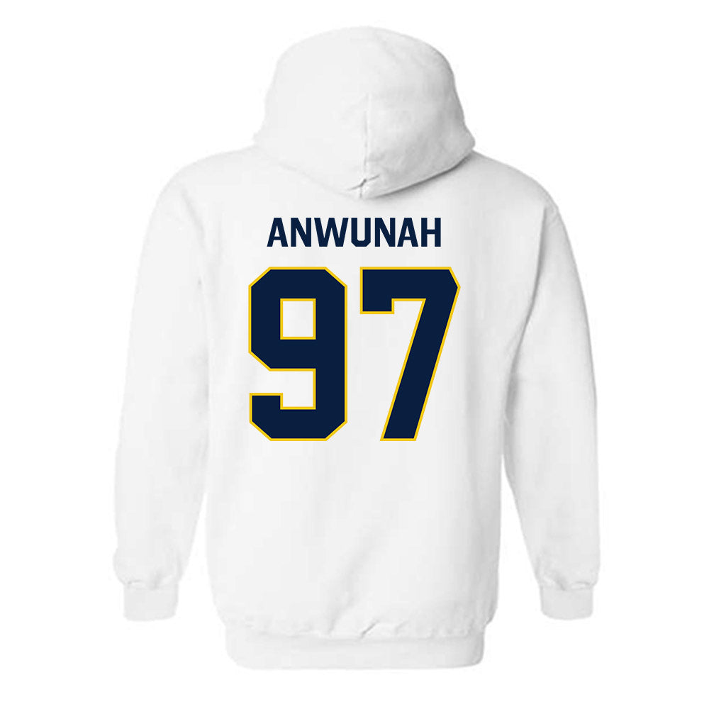 Michigan - NCAA Football : Chibi Anwunah - Classic Shersey Hooded Sweatshirt-1