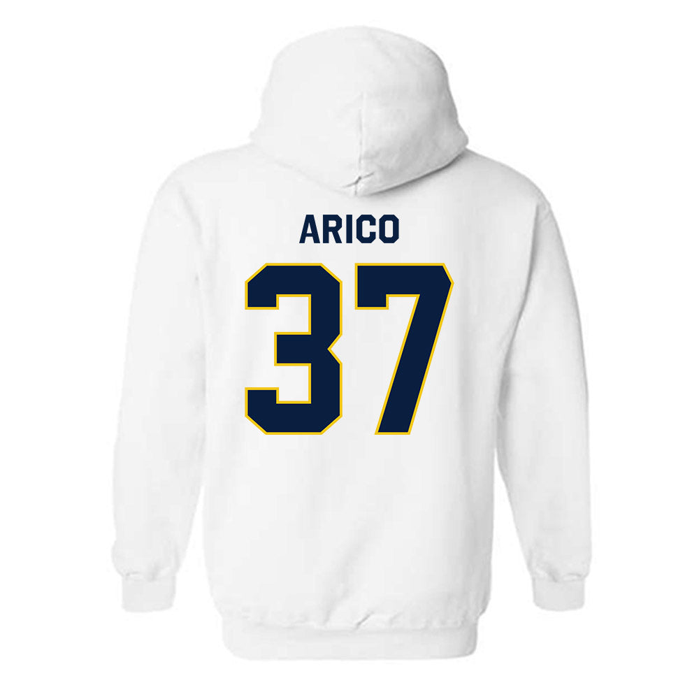 Michigan - NCAA Women's Lacrosse : Emma Arico - Classic Shersey Hooded Sweatshirt-1