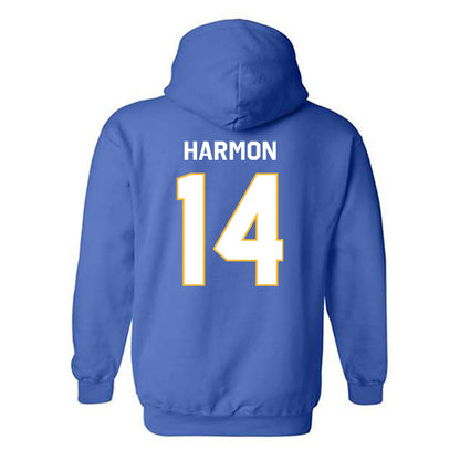 Webster - NCAA Men's Basketball : Will Harmon - Classic Shersey Hooded Sweatshirt-1
