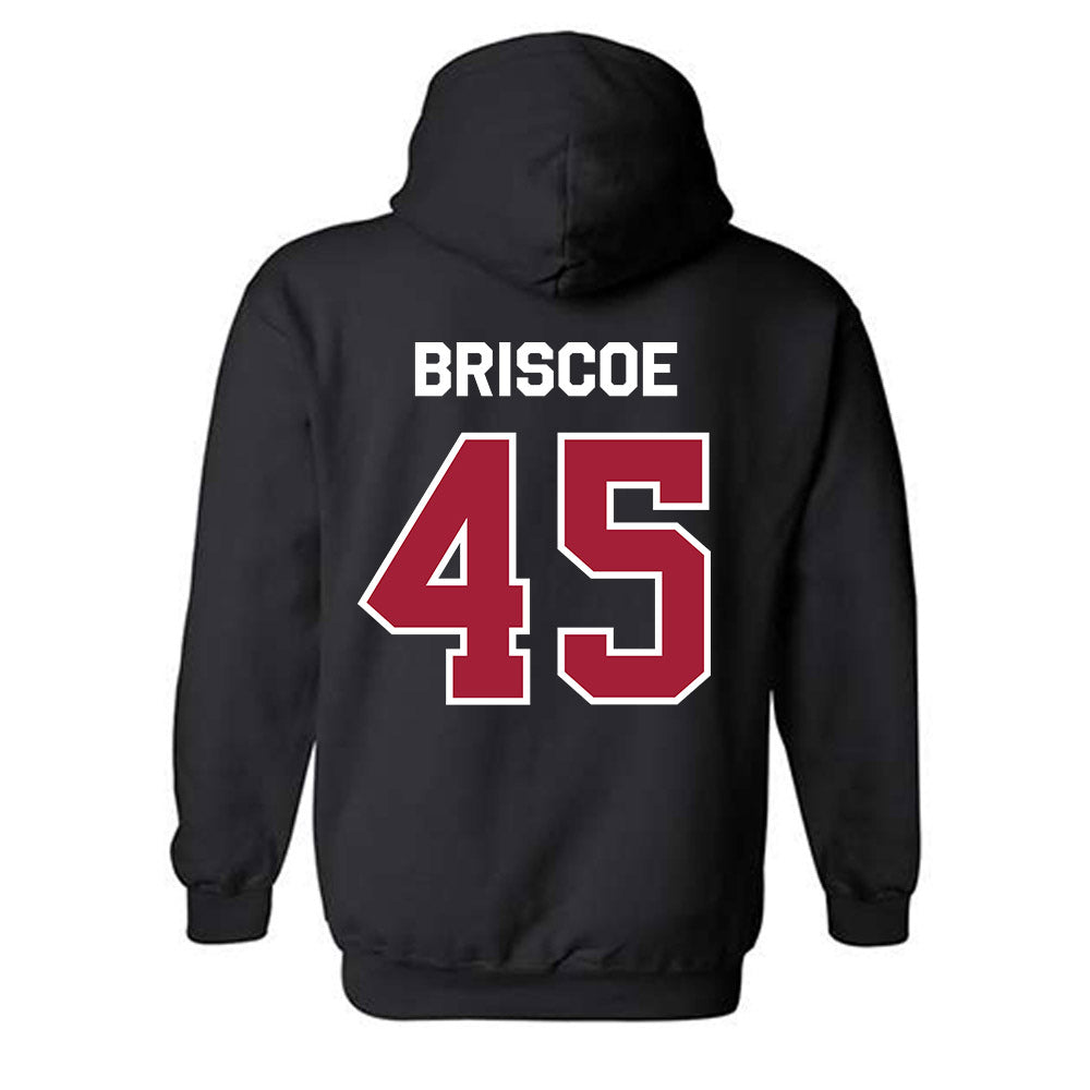 Arkansas - NCAA Baseball : Tye Briscoe - Patriotic Collection Hooded Sweatshirt-1
