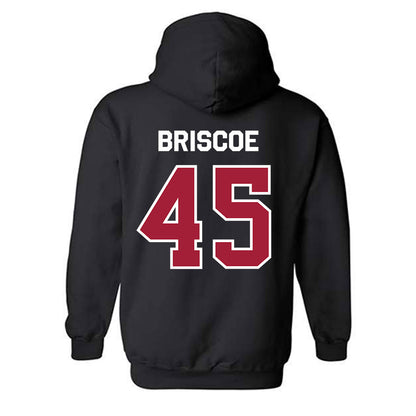 Arkansas - NCAA Baseball : Tye Briscoe - Patriotic Collection Hooded Sweatshirt-1