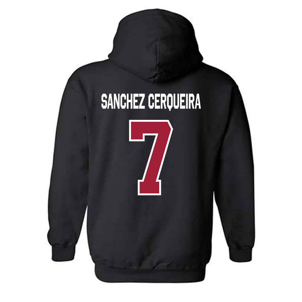 Arkansas - NCAA Women's Basketball : Cristina Sanchez Cerqueira - Patriotic Collection Hooded Sweatshirt-1