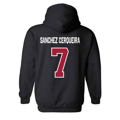 Arkansas - NCAA Women's Basketball : Cristina Sanchez Cerqueira - Patriotic Collection Hooded Sweatshirt-1