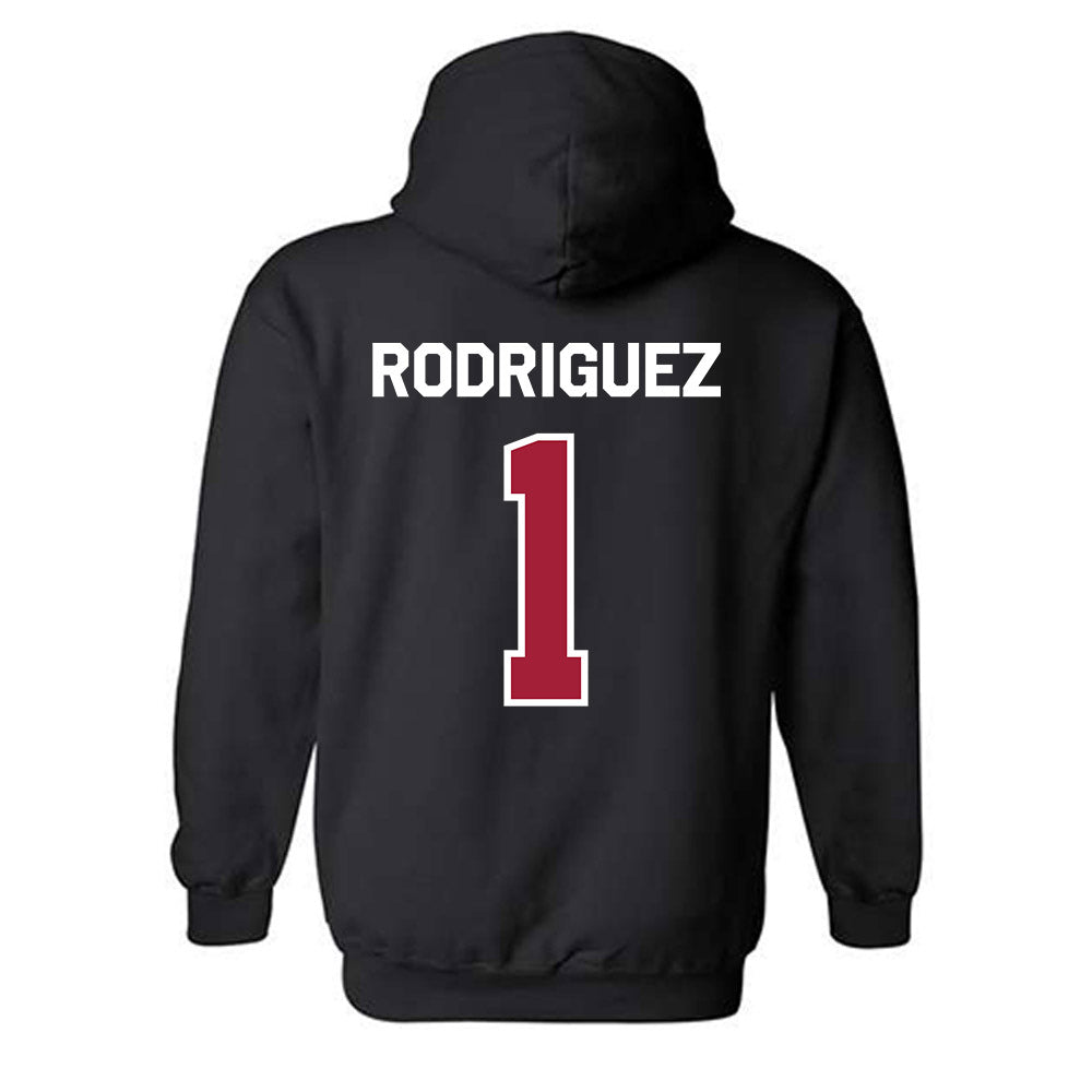 Arkansas - NCAA Women's Basketball : Maria Rodriguez - Patriotic Collection Hooded Sweatshirt-1