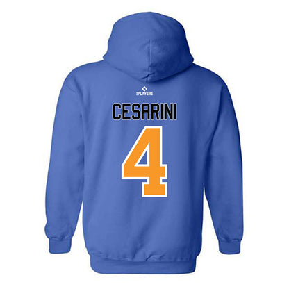 Akron Rubber Ducks - MILB Baseball : Ryan Cesarini - Hooded Sweatshirt-1