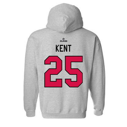 Albuquerque Topes - MILB Baseball : Nic Kent - Hooded Sweatshirt-1