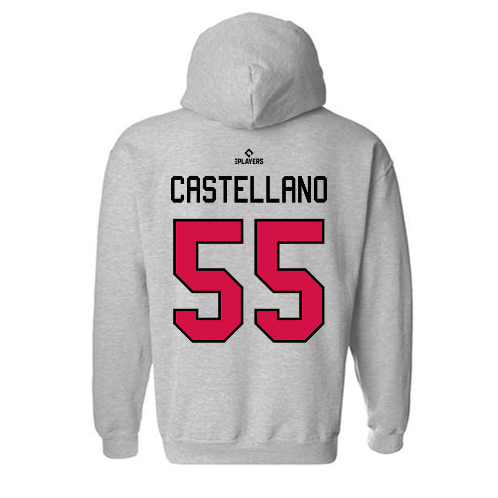 Albuquerque Topes - MILB Baseball : Eiberson Castellano - Hooded Sweatshirt-1