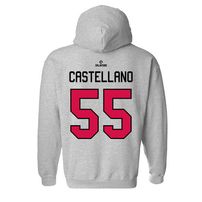 Albuquerque Topes - MILB Baseball : Eiberson Castellano - Hooded Sweatshirt-1