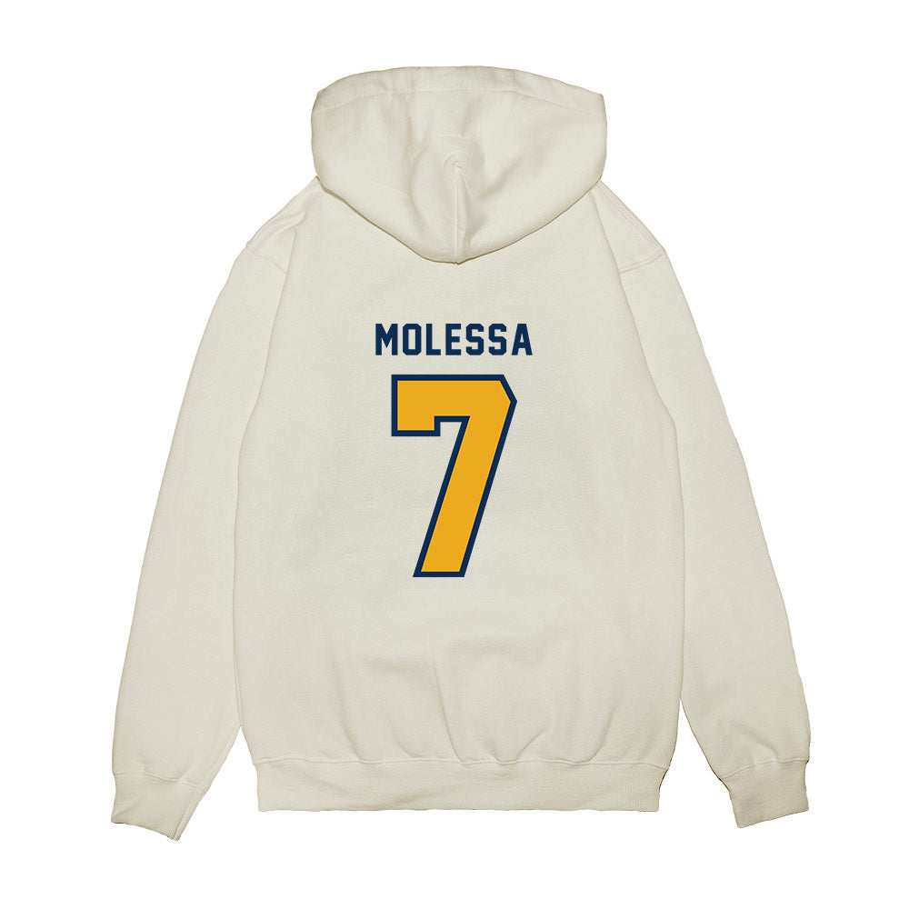 West Virginia - NCAA Baseball : Maxwell Molessa - Omaneers Premium Hooded Sweatshirt-1