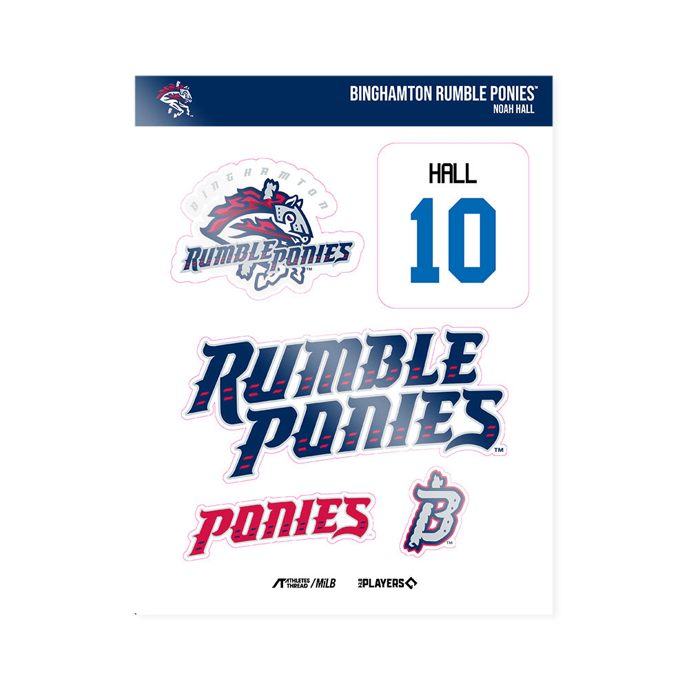 Binghamton Rumble Ponies - MILB Baseball : Noah Hall - Sticker Sheet-0