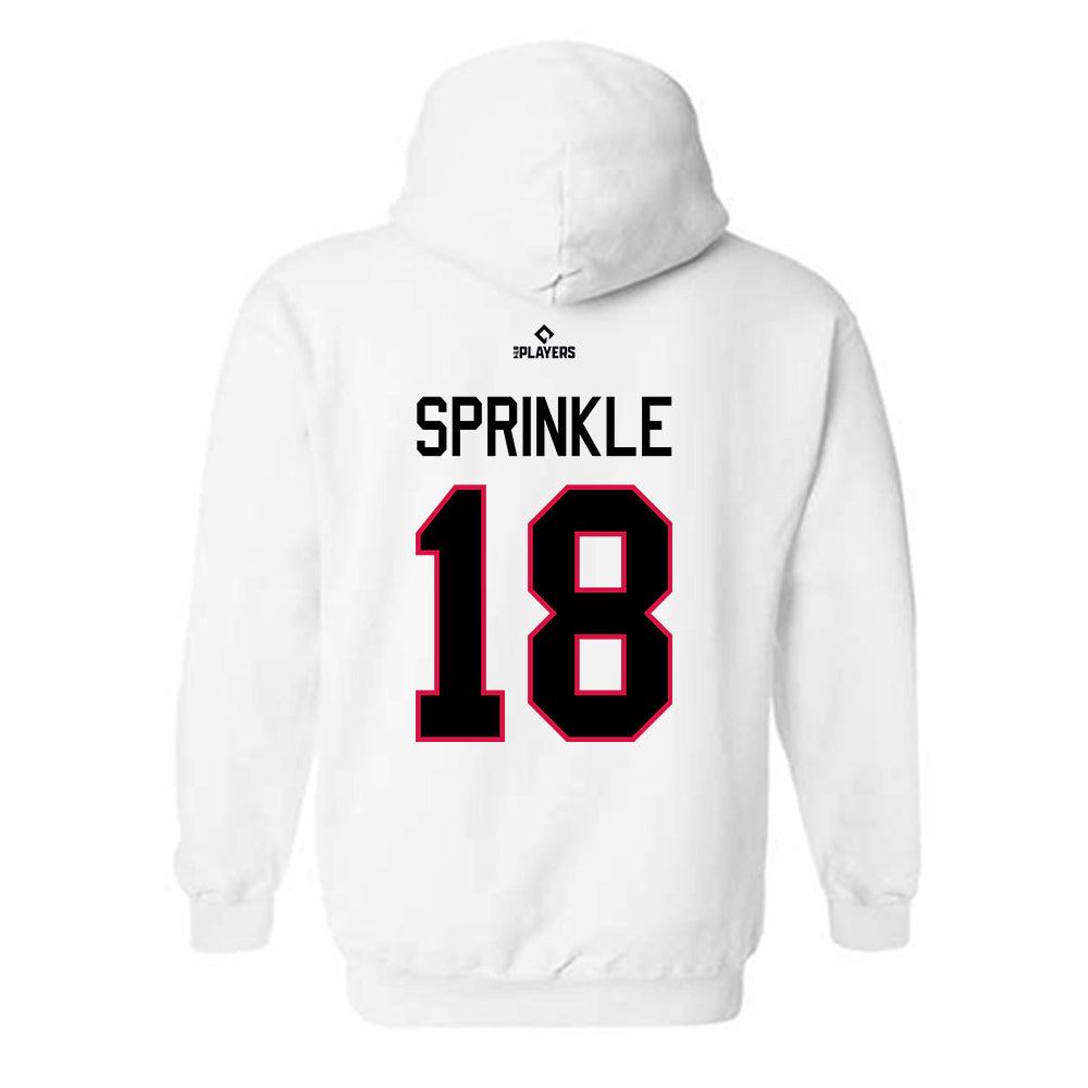 Birmingham Barons - MILB Baseball : Jordan Sprinkle - Hooded Sweatshirt-1