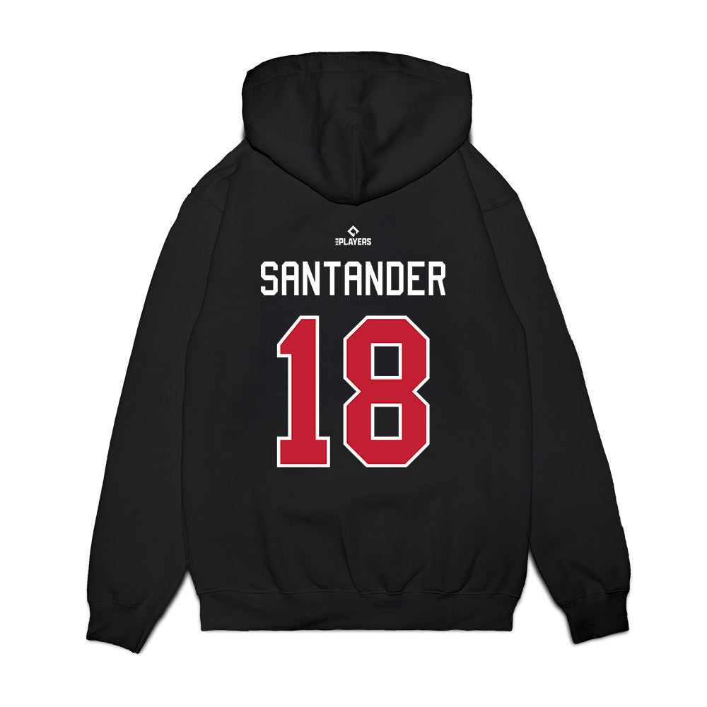 Buffalo Bisons - MILB Baseball : Anthony Santander - Premium Hooded Sweatshirt-1