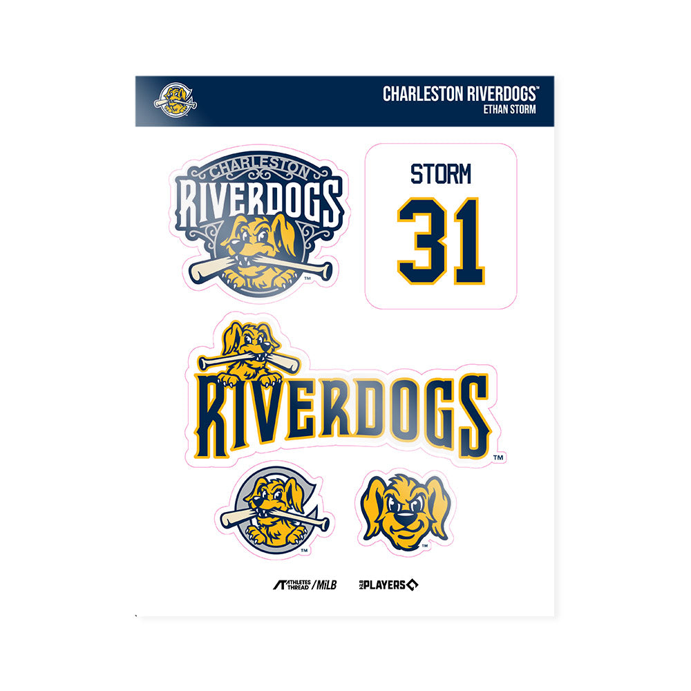 Charleston RiverDogs - MILB Baseball : Ethan Storm - Sticker Sheet-0