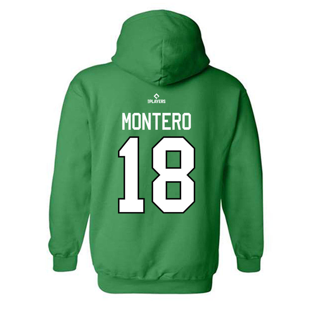 Dayton Dragons - MILB Baseball : Jose Montero - Hooded Sweatshirt-1