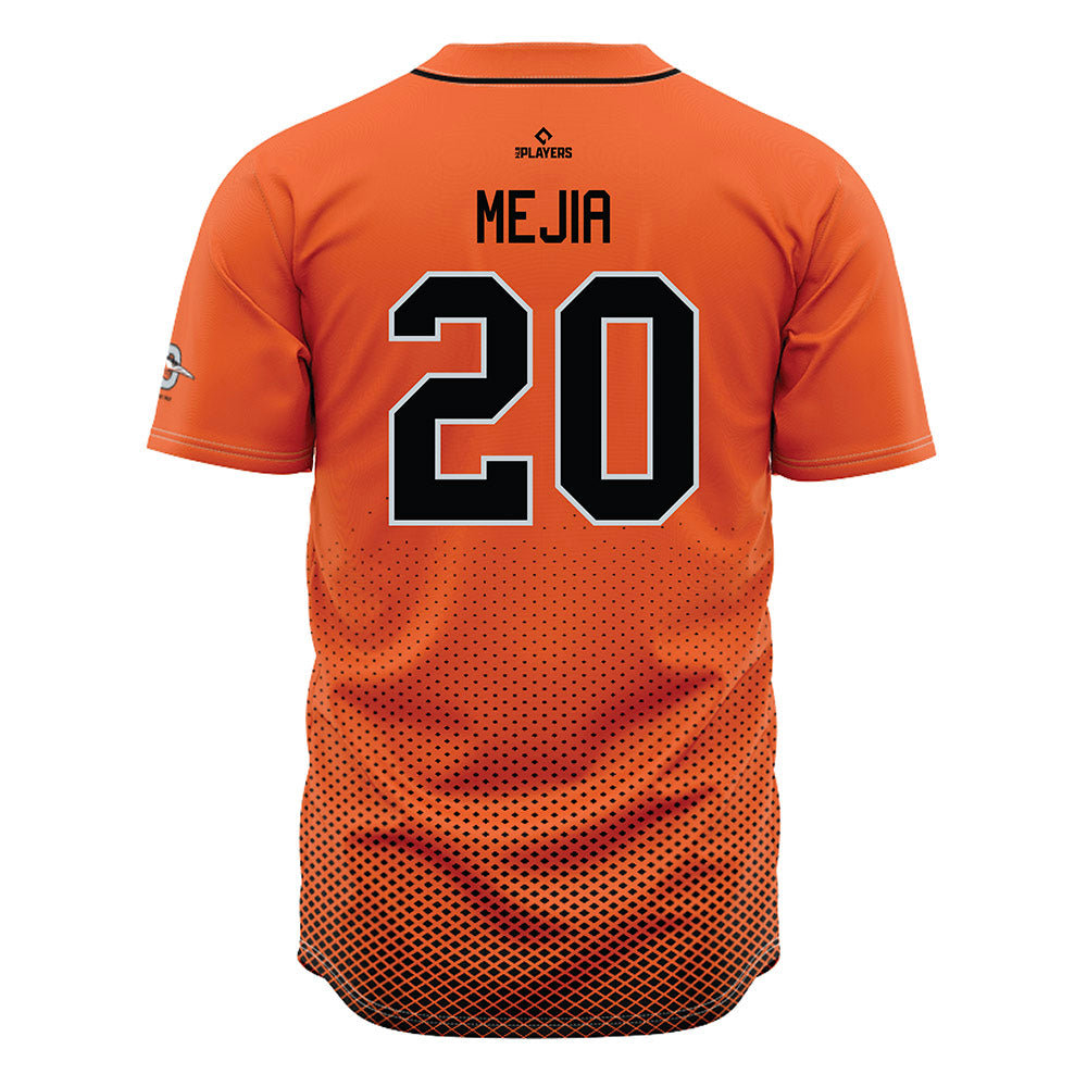 Delmarva Shorebirds - MILB Baseball : Adriander Mejia - Jersey-1