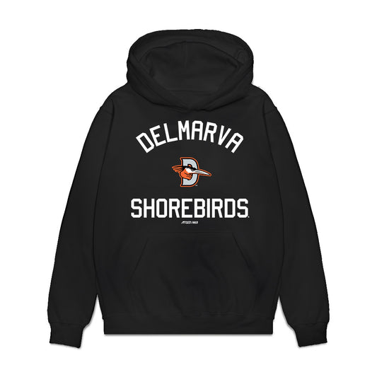 Delmarva Shorebirds - MILB Baseball : Jhomnardo Reyes - Premium Hooded Sweatshirt-0