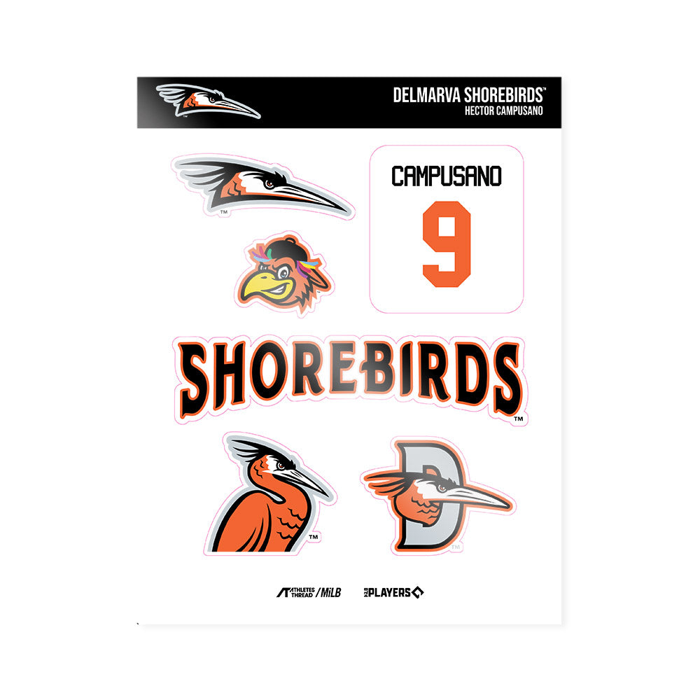 Delmarva Shorebirds - MILB Baseball : Hector Campusano - Sticker Sheet-0